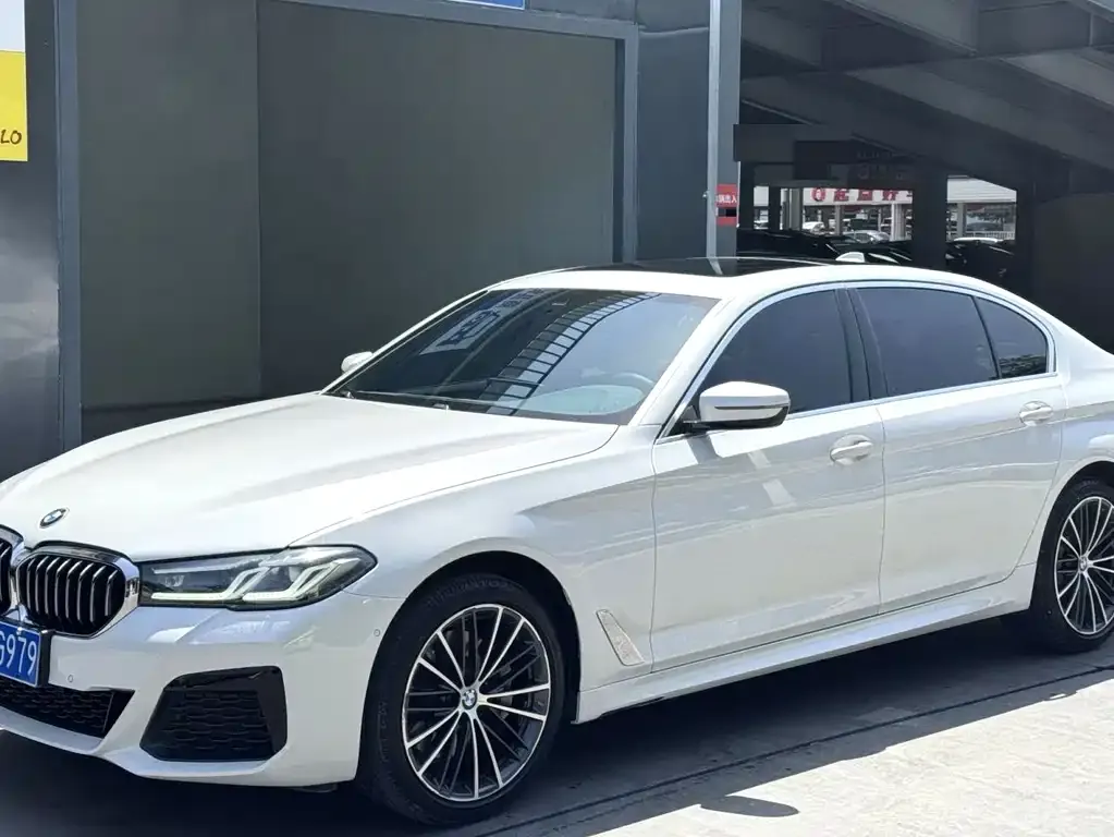 BMW 5 Series 2021 из CN, фото 1