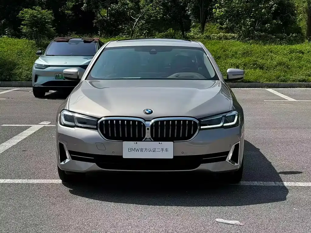 BMW 5 Series 2023 из CN, фото 6
