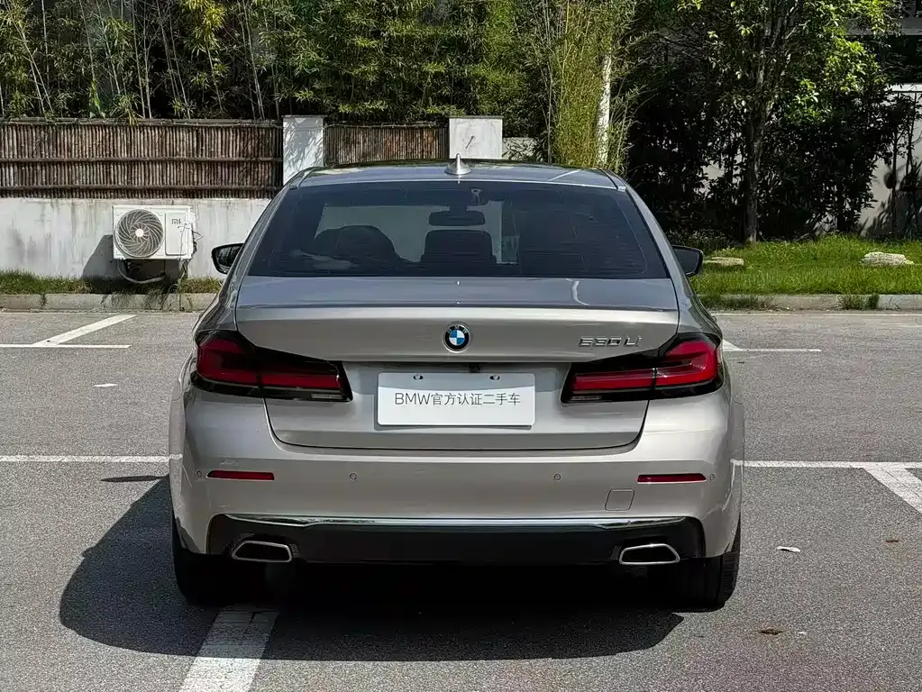 BMW 5 Series 2023 из CN, фото 10