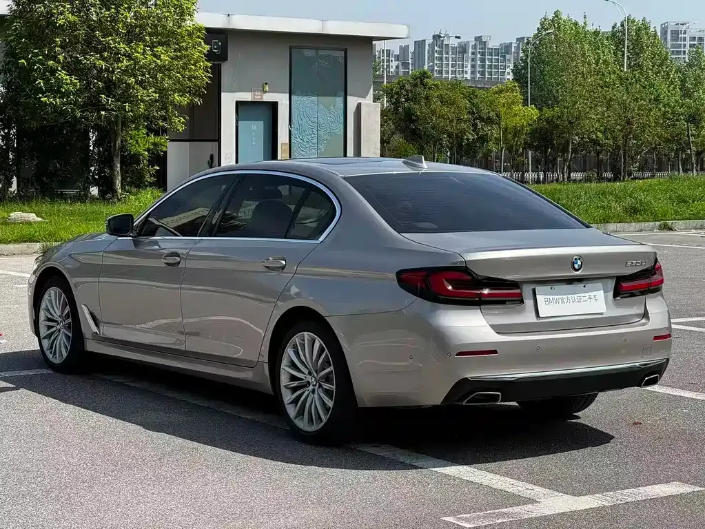 BMW 5 Series 2023 из CN, фото 9