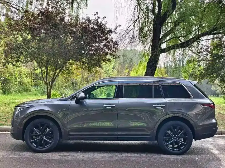 Li Auto ONE 2021 из CN, фото 9