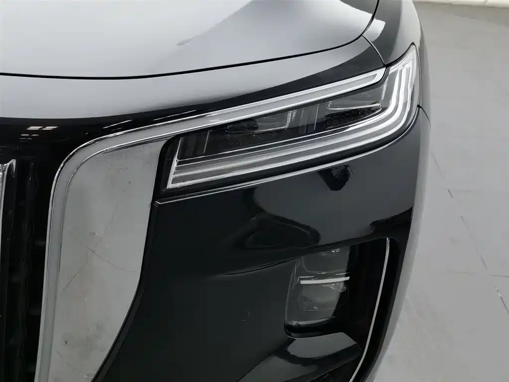 Hongqi H9 2021 из CN, фото 5