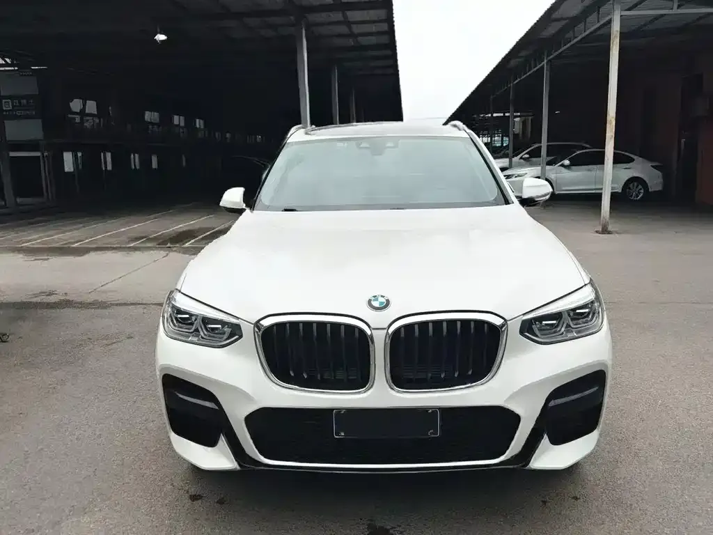 BMW X3 2021 из CN, фото 4