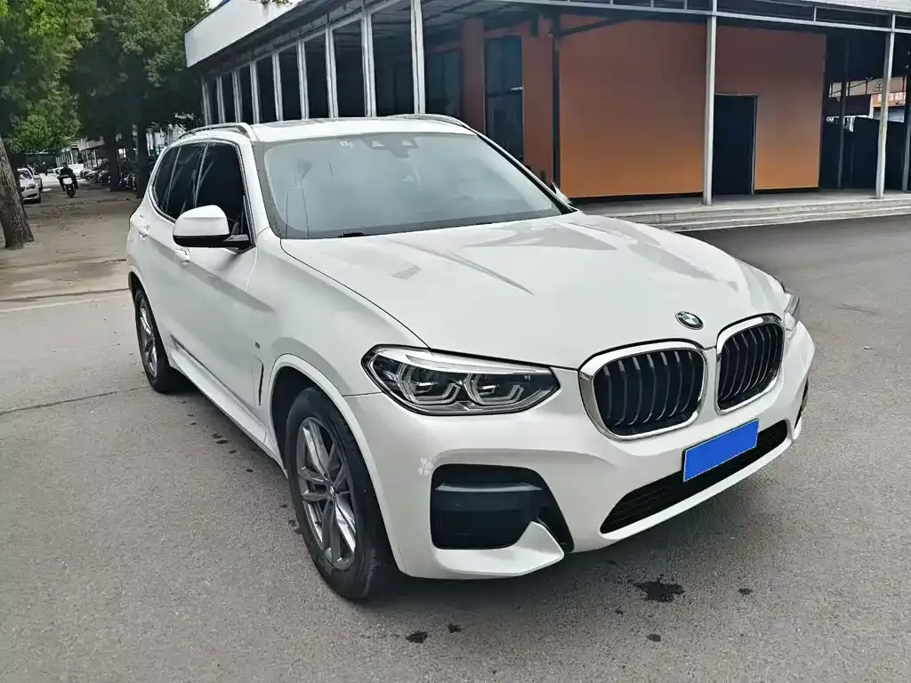 BMW X3 2021 из CN, фото 7
