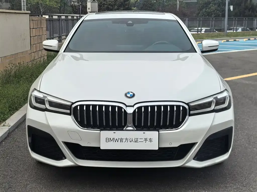 BMW 5 Series 2023 из CN, фото 10
