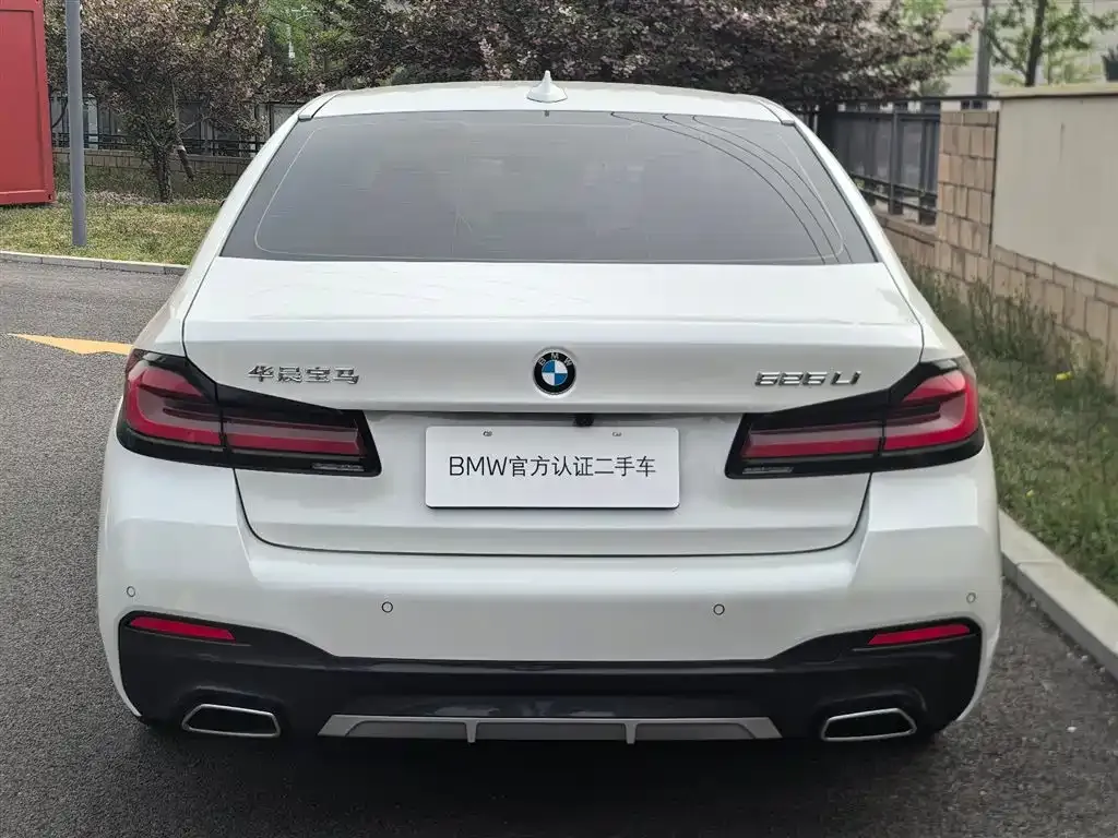 BMW 5 Series 2023 из CN, фото 6