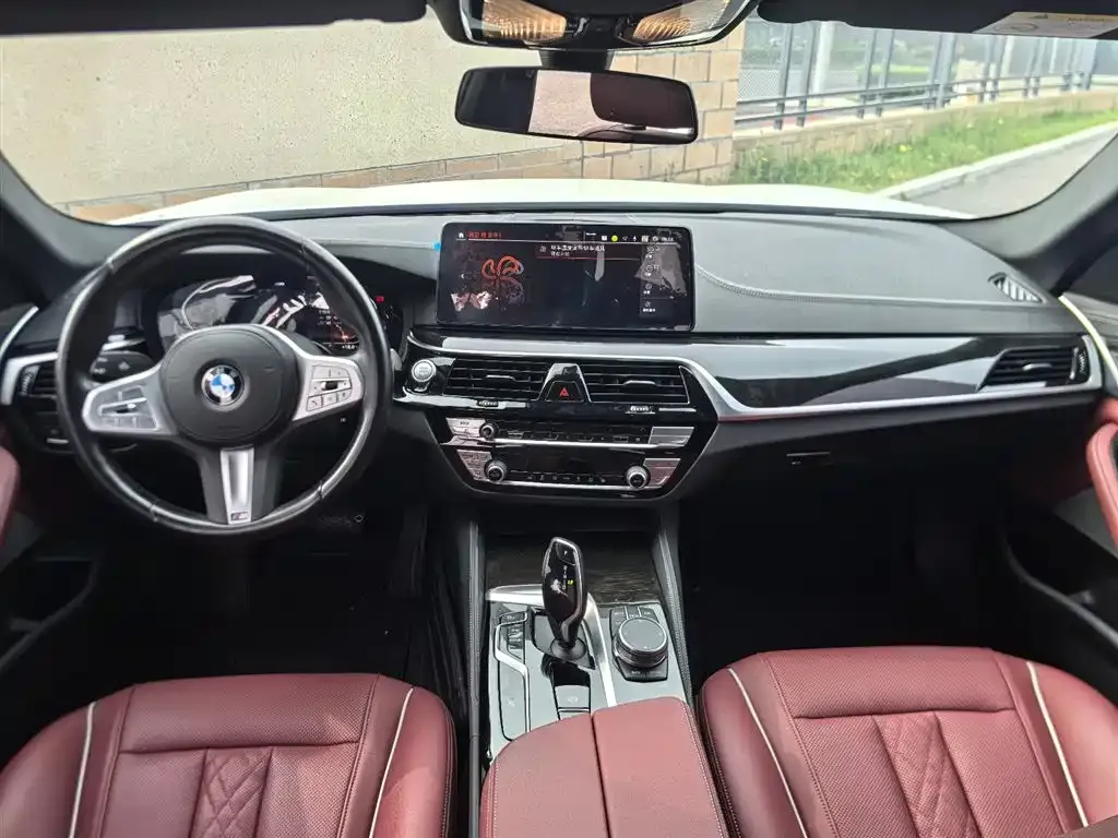 BMW 5 Series 2023 из CN, фото 4