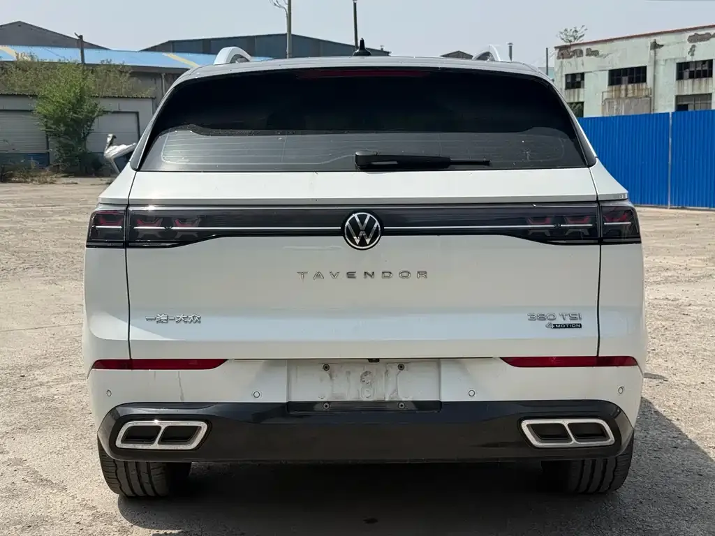 Volkswagen Tavendor 2024 из CN, фото 5
