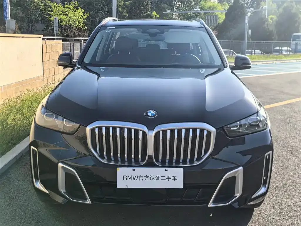 BMW X5 2025 из CN, фото 8