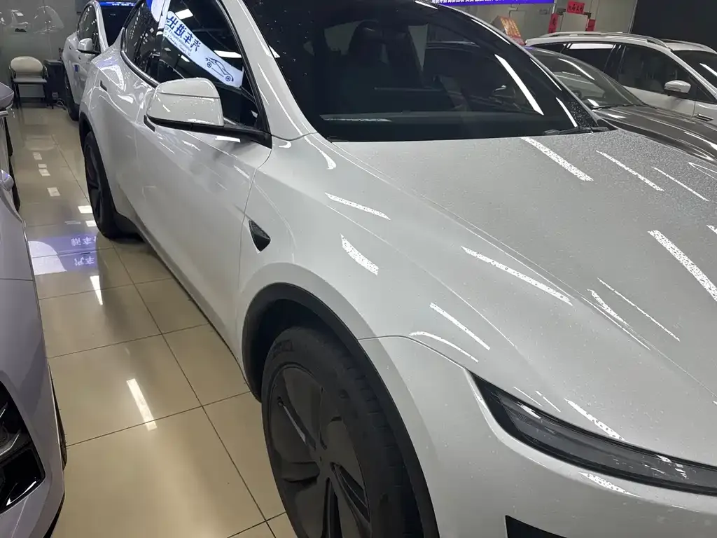 Tesla Model Y — фото 6