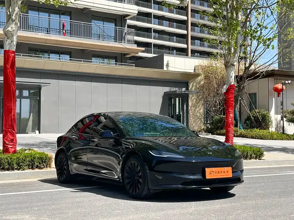 Tesla Model 3 2025 из CN, фото 7
