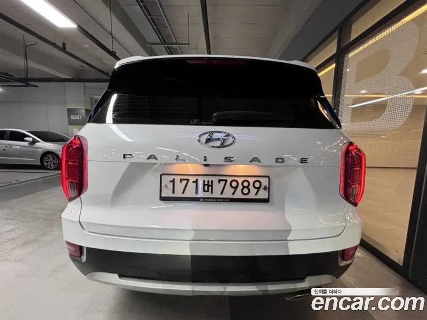 Hyundai Palisade 2021 из KR, фото 4