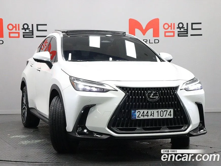 Lexus NX 2025 из KR, фото 3