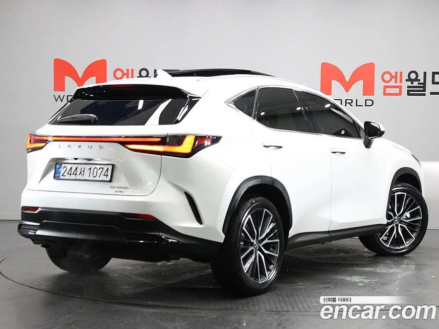 Lexus NX 2025 из KR, фото 2