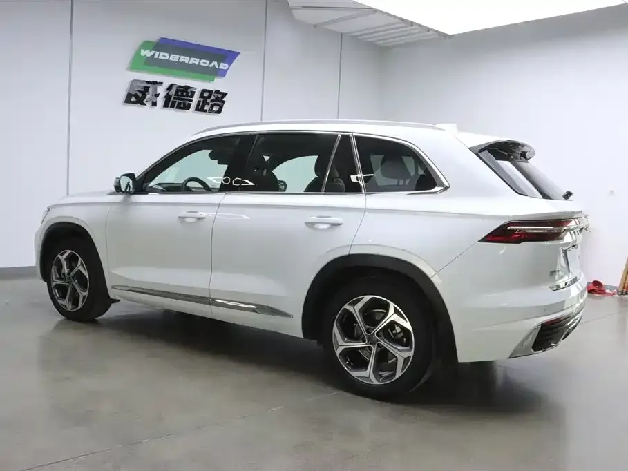 Geely Xingyue L 2024 из CN, фото 5