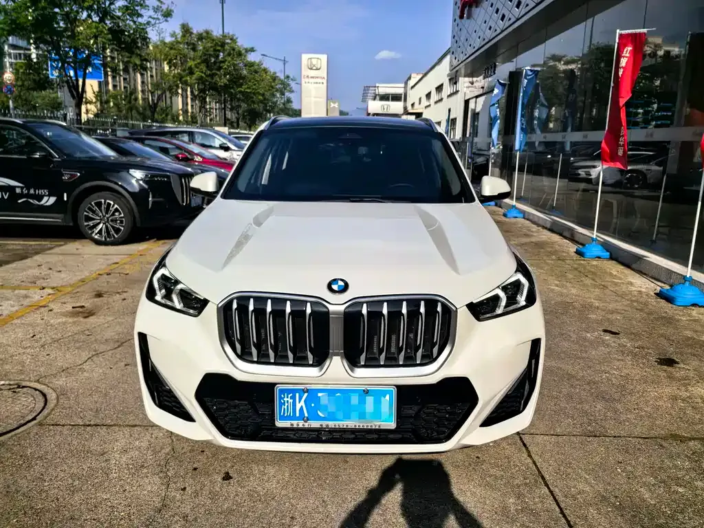 BMW X1 — фото 10