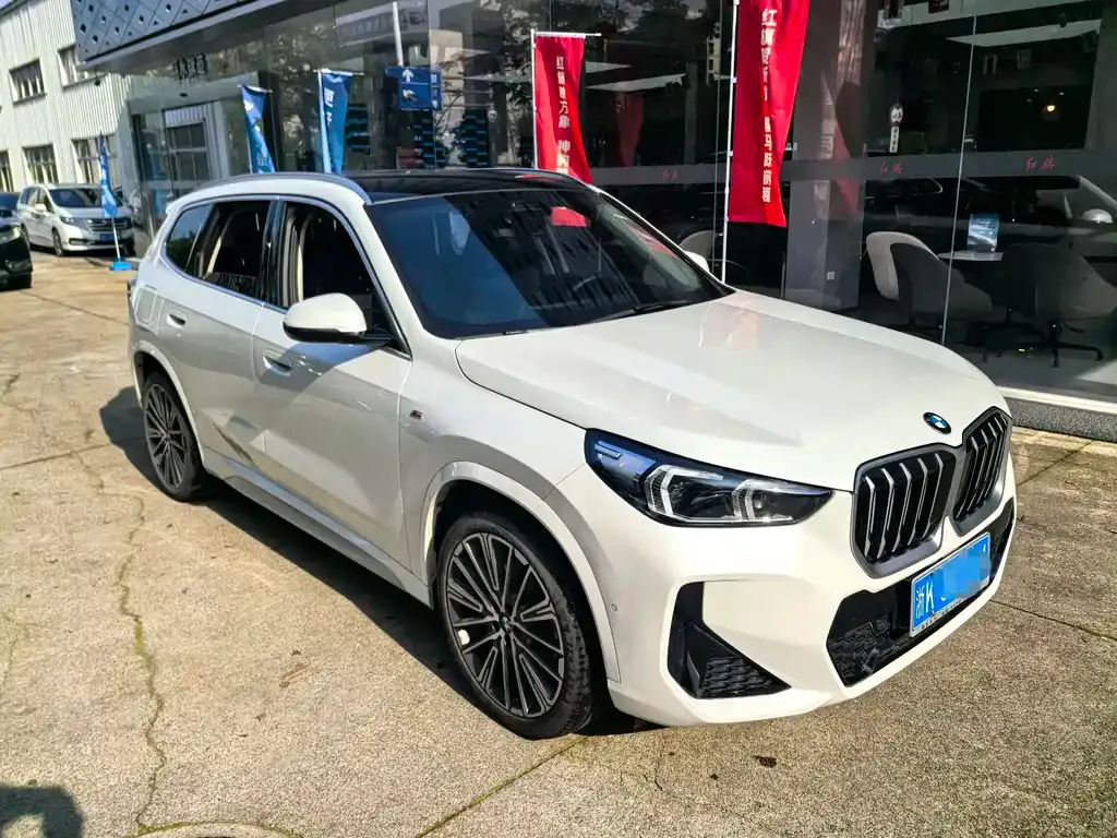 BMW X1 — фото 9
