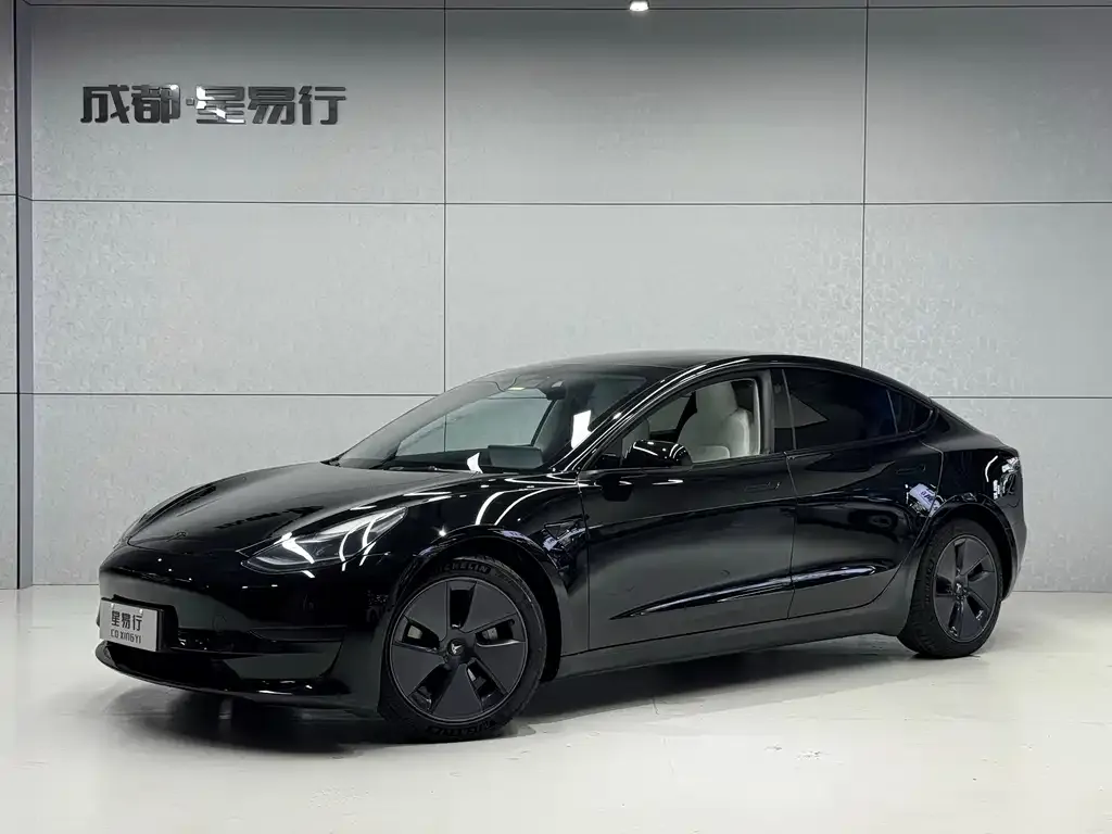 Tesla Model 3 2021 из CN, фото 1