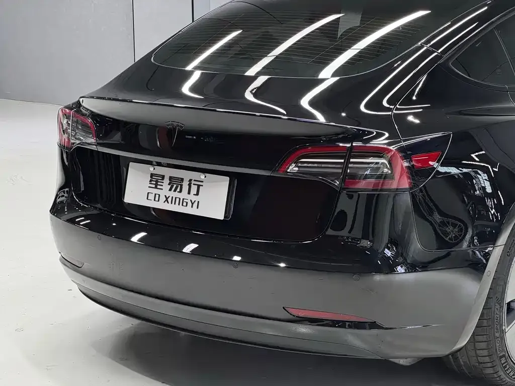 Tesla Model 3 2021 из CN, фото 8