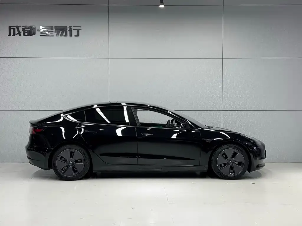 Tesla Model 3 2021 из CN, фото 2
