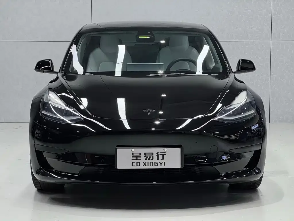 Tesla Model 3 2021 из CN, фото 10