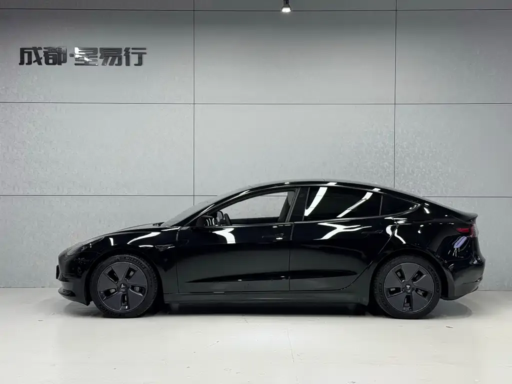 Tesla Model 3 2021 из CN, фото 9
