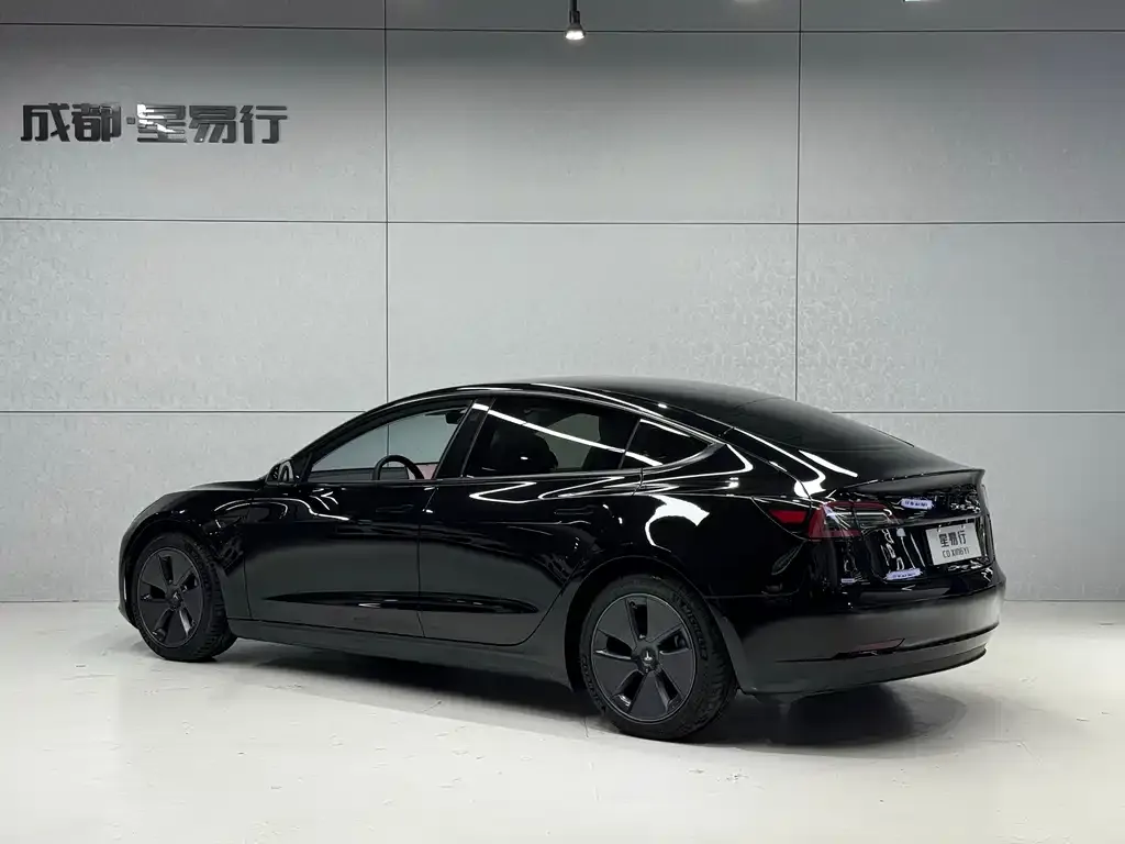 Tesla Model 3 2021 из CN, фото 3