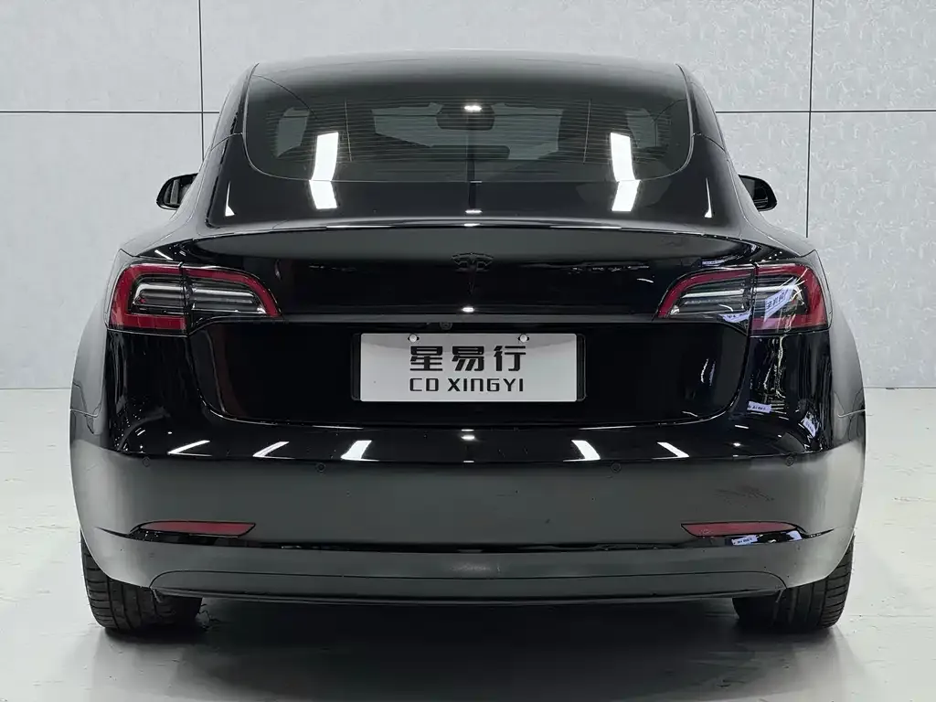 Tesla Model 3 2021 из CN, фото 6