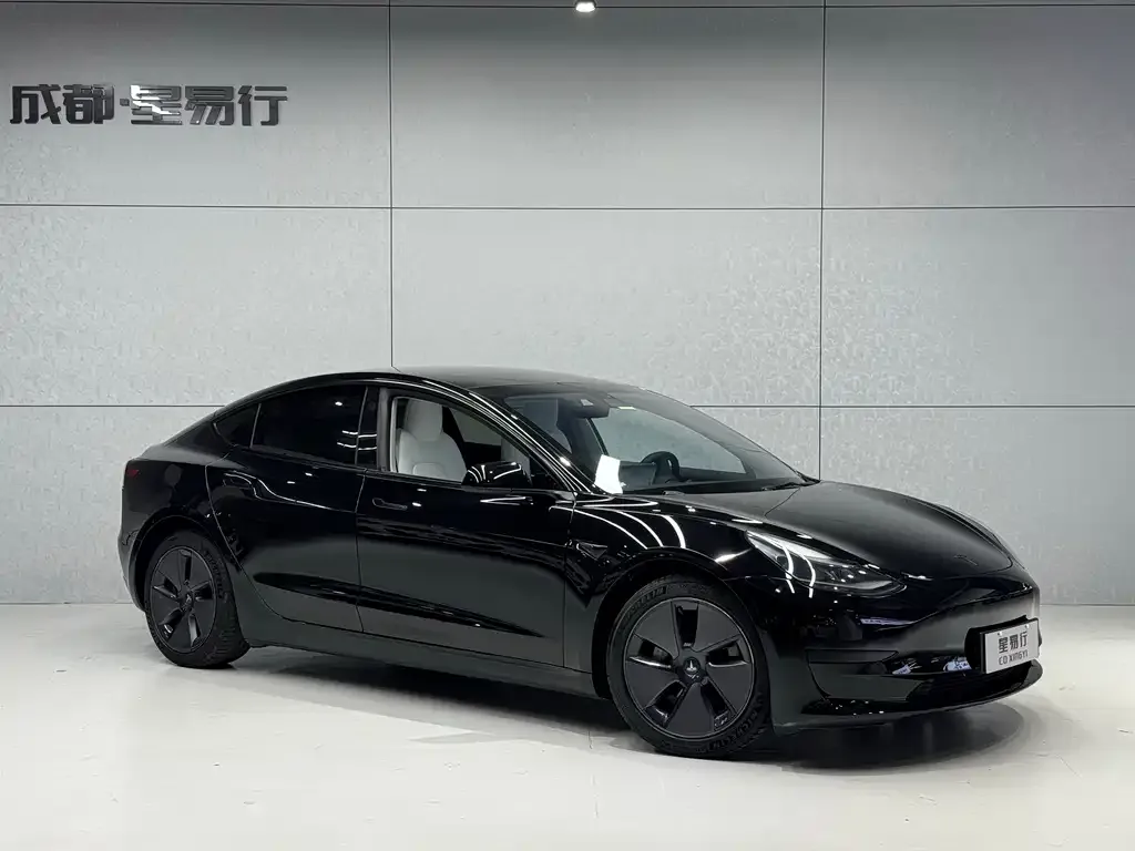 Tesla Model 3 2021 из CN, фото 4