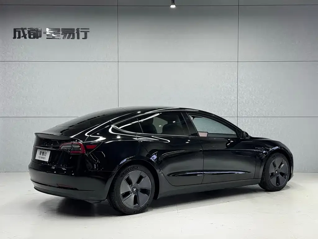 Tesla Model 3 2021 из CN, фото 5