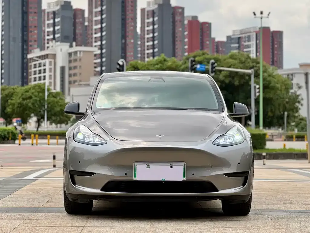 Tesla Model Y 2023 из CN, фото 5