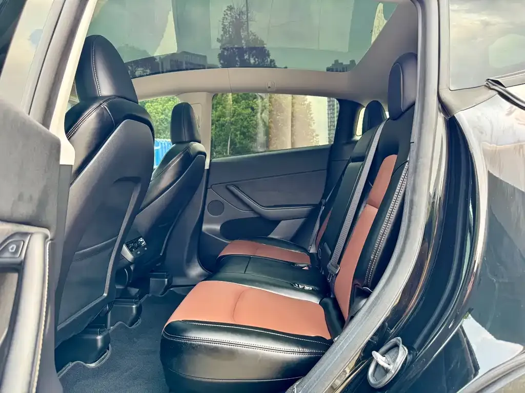 Tesla Model Y 2023 из CN, фото 4