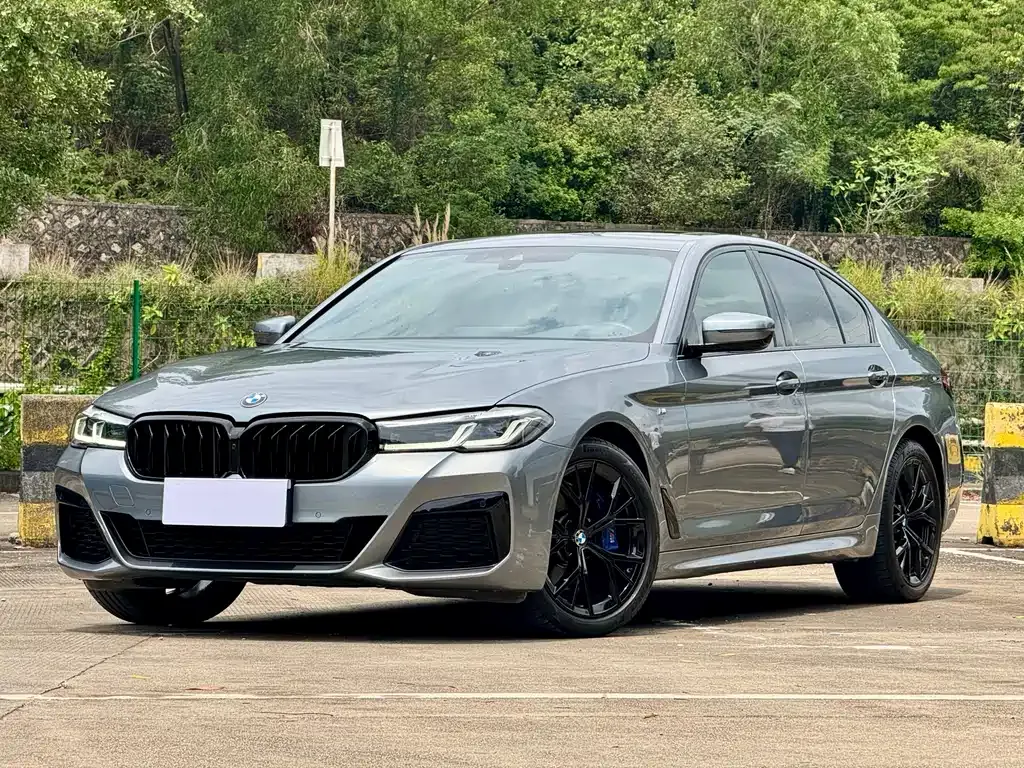 BMW 5 Series (Import) — фото 1