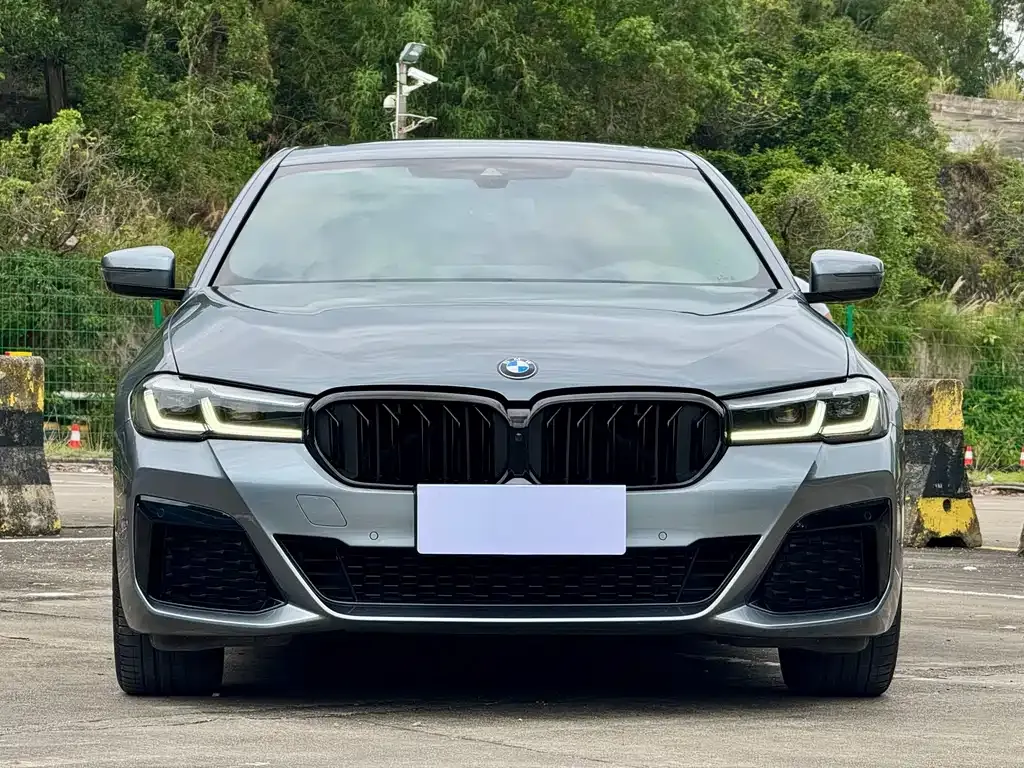 BMW 5 Series (Import) — фото 8