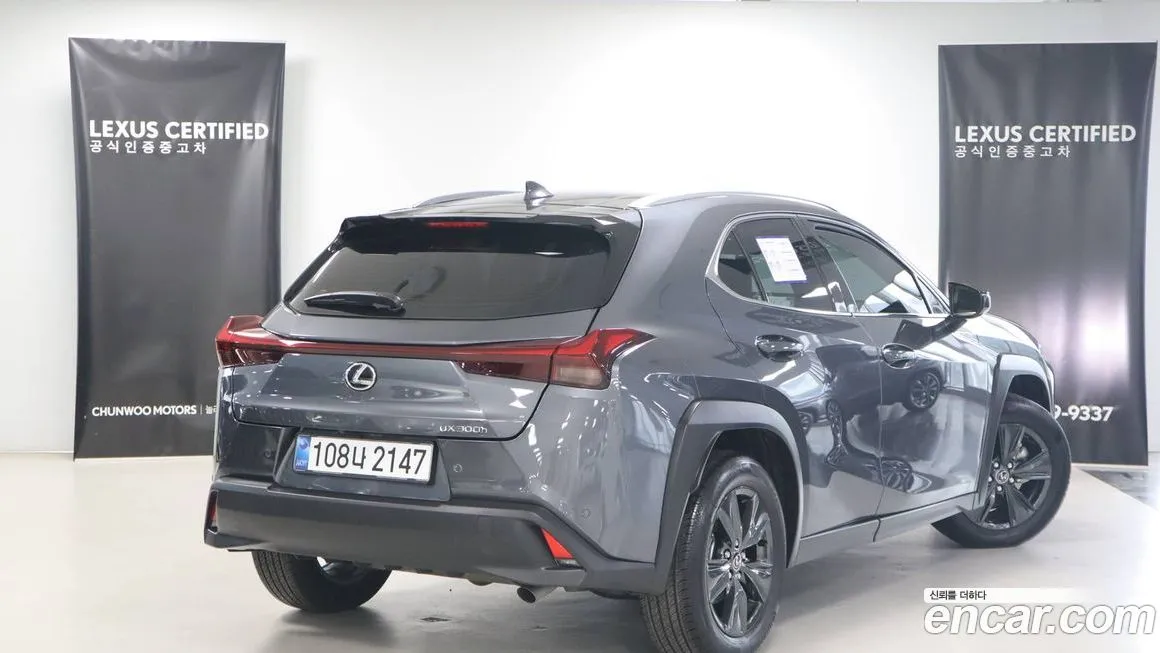 Lexus UX 2025 из KR, фото 6