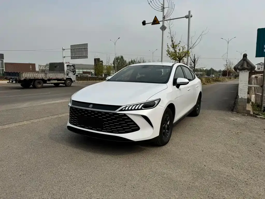 BYD Qin PLUS — фото 1
