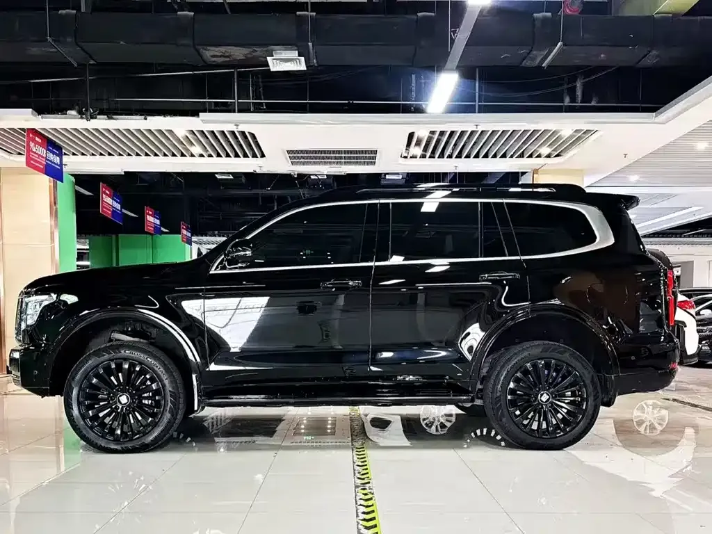 Tank 500 New Energy 2025 из CN, фото 9