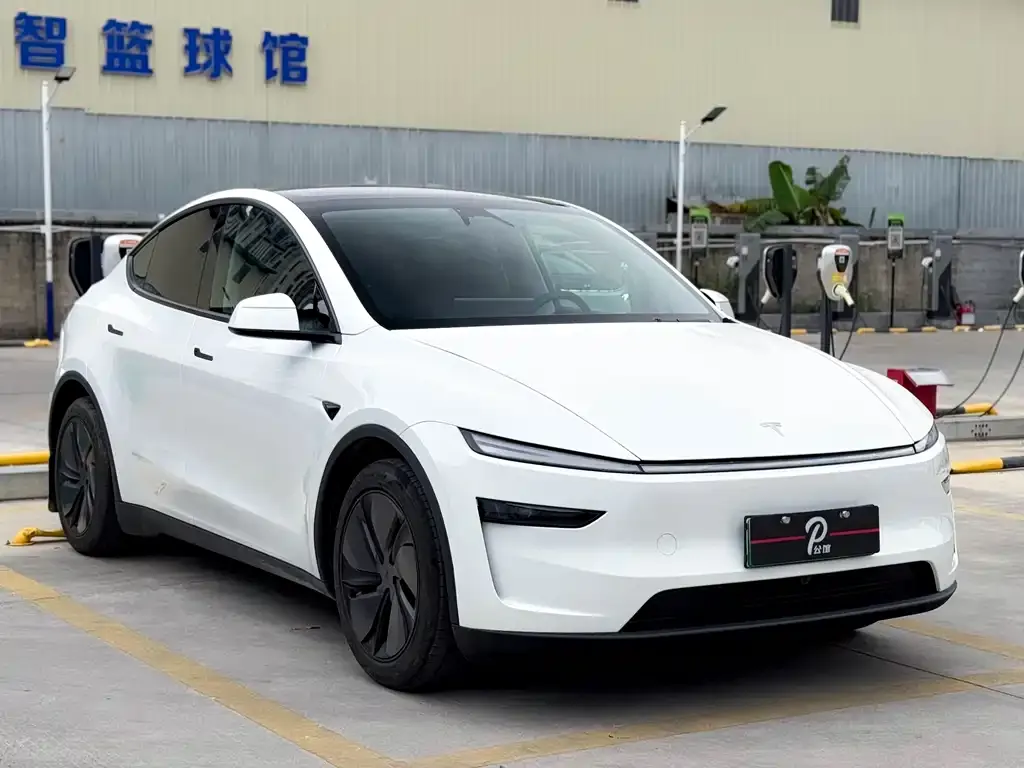 Tesla Model Y — фото 8