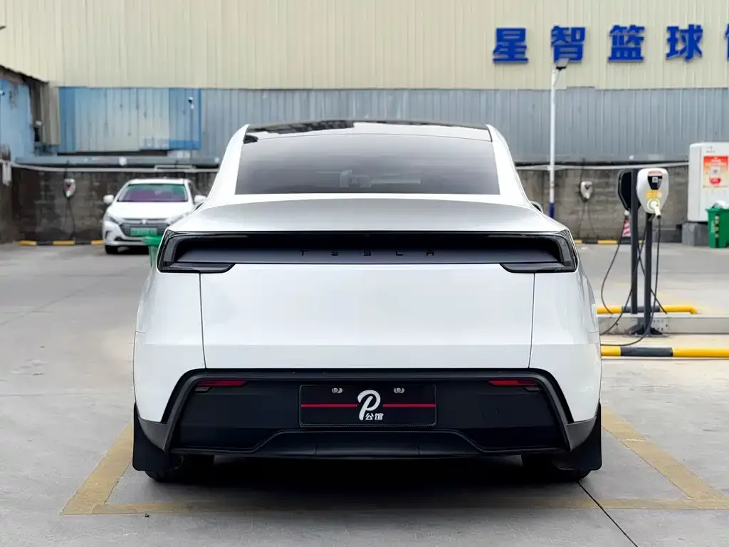 Tesla Model Y — фото 3