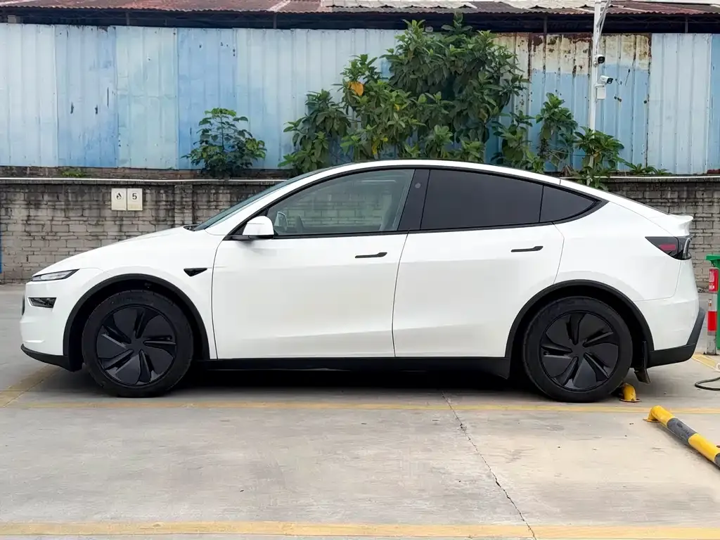 Tesla Model Y — фото 10