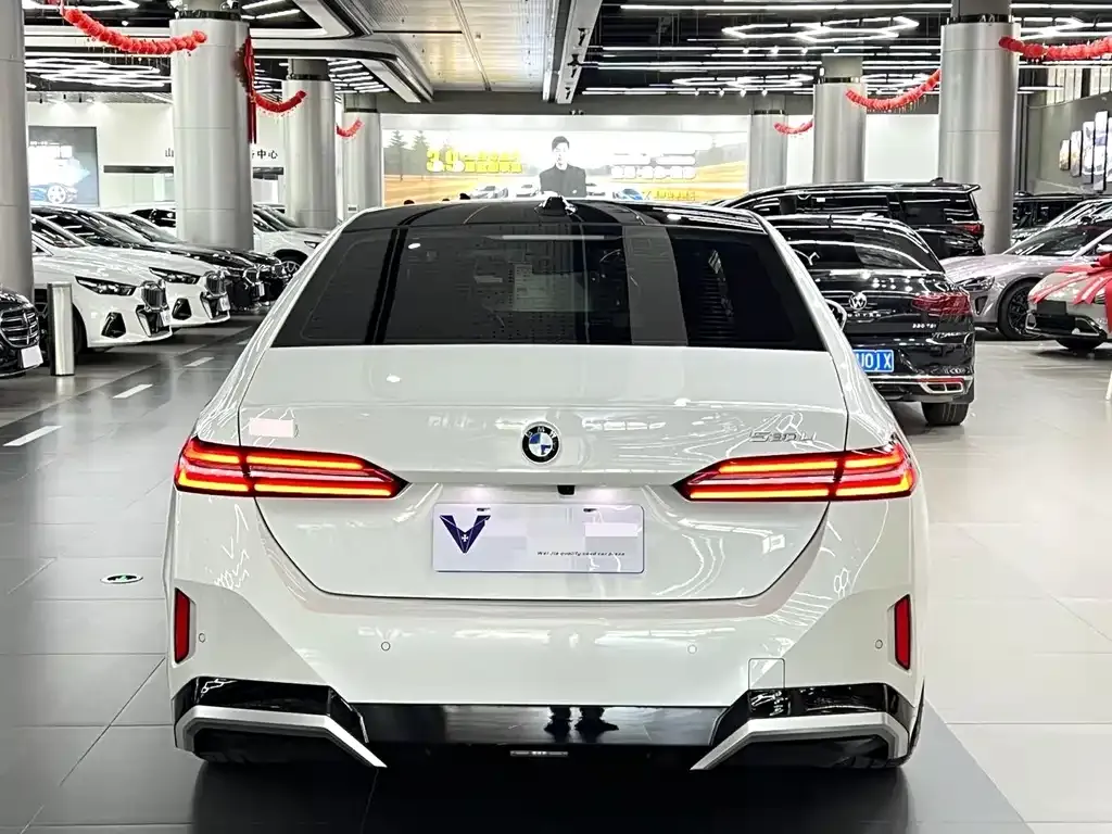 BMW 5 Series 2024 из CN, фото 2