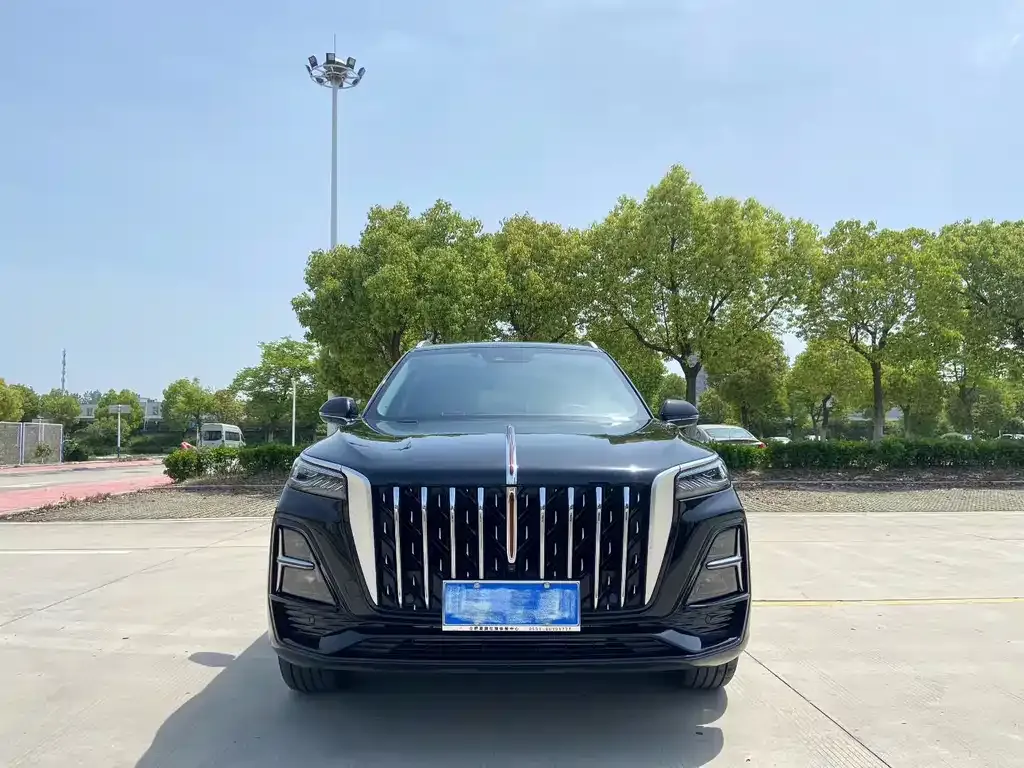 Hongqi HS5 2024 из CN, фото 7
