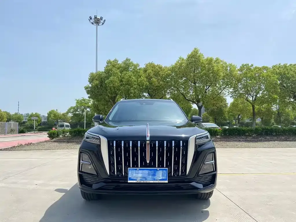 Hongqi HS5 2024 из CN, фото 10