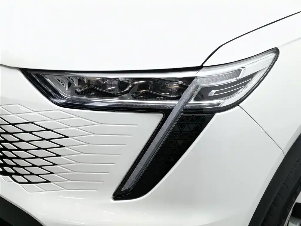 Haval Xiaolong MAX 2023 из CN, фото 6
