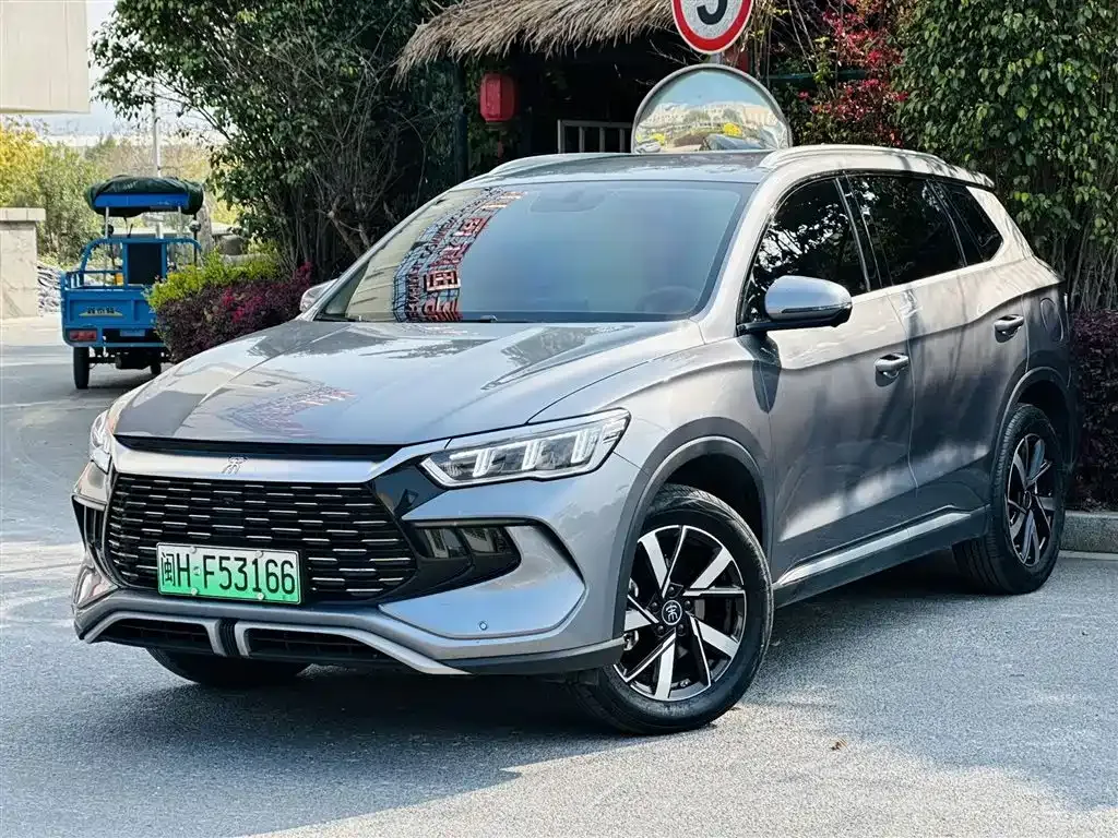 BYD Pro New Energy