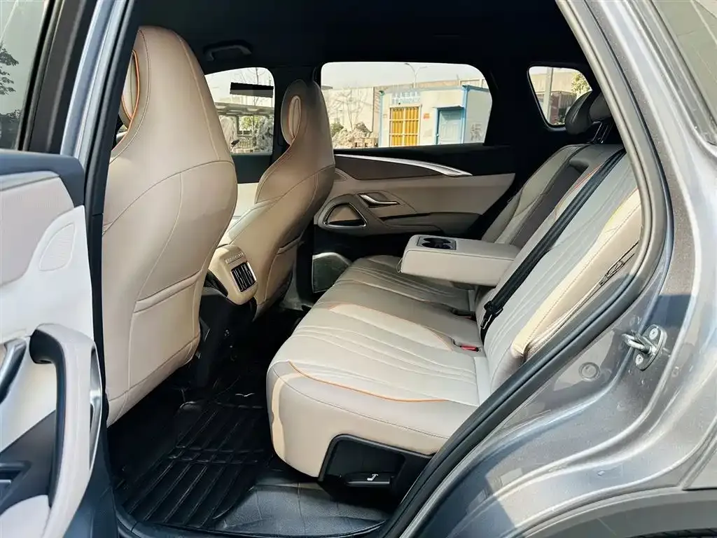 BYD Pro New Energy 2024 из CN, фото 3