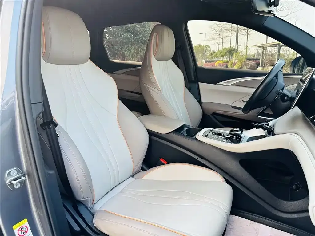 BYD Pro New Energy 2024 из CN, фото 2