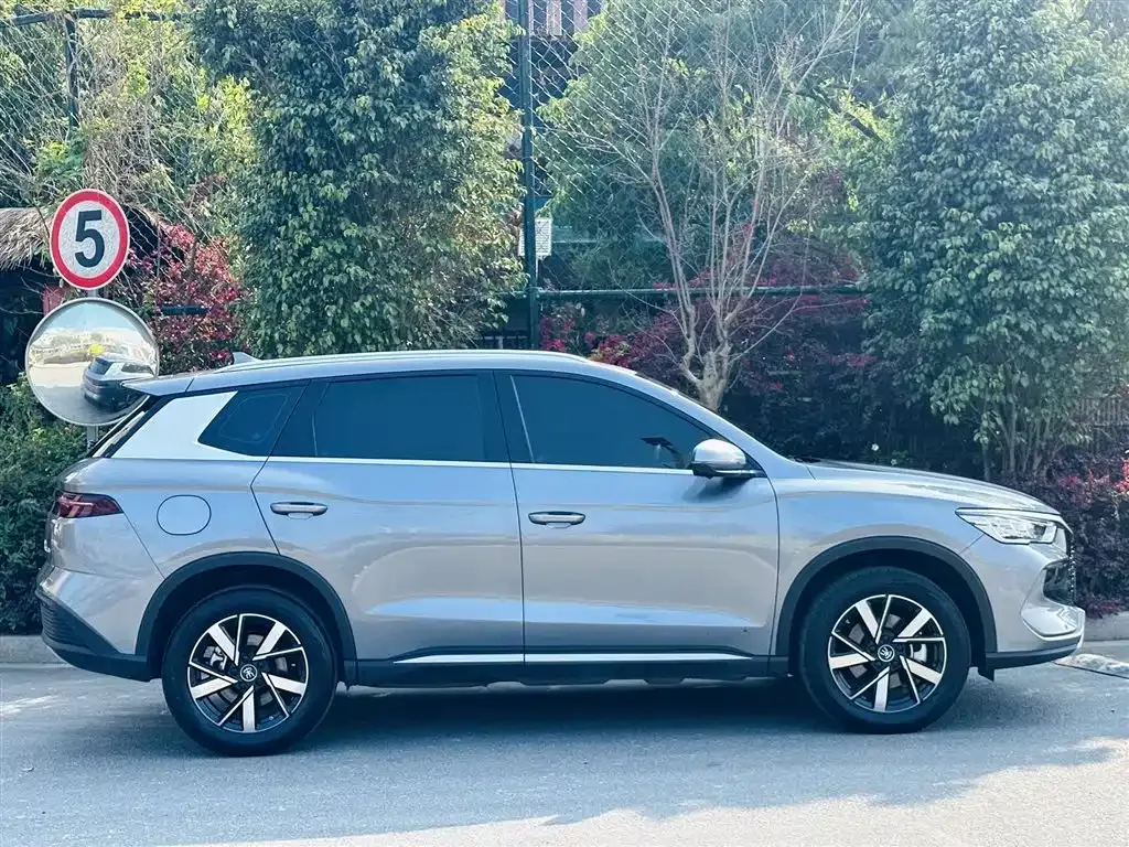 BYD Pro New Energy 2024 из CN, фото 8