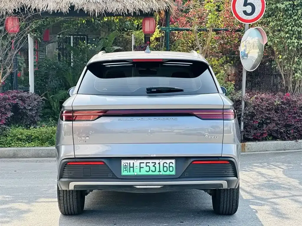 BYD Pro New Energy 2024 из CN, фото 6