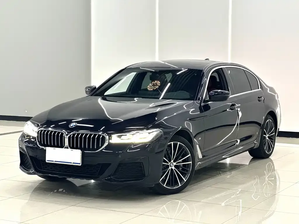 BMW 5 Series 2021 из CN, фото 1